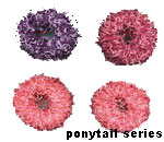 ponytail holders series